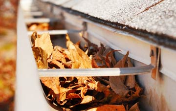Cornworthy gutter cleaning companies