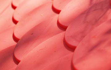 Cornworthy plastic roof costs