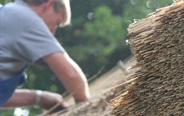 professional Cornworthy thatchers